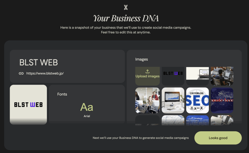Pomelliのbusiness DNA作成後画面